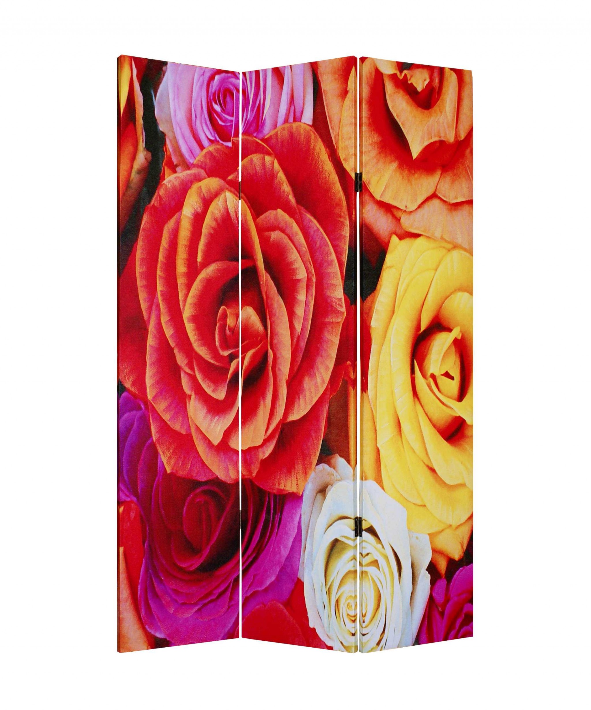 48 X 72 Multi Color Wood Canvas Daisy And Rose Screen - Image 2