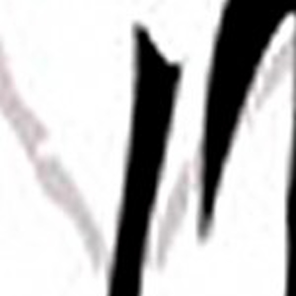 48 X 72 Multi Color Wood Canvas Bamboo Leaf Screen - Image 3